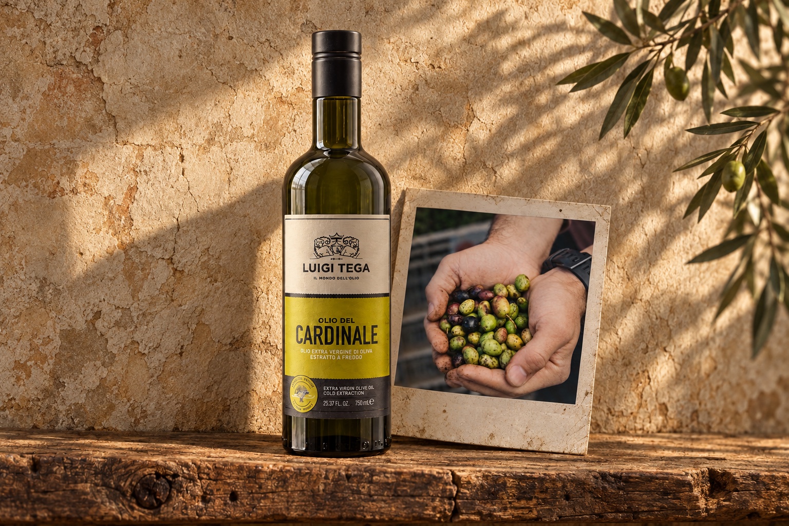 Olio del Cardinale on a rustic wooden shelf beside a photograph of freshly harvested olives