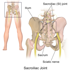 Sacroiliac_Joint