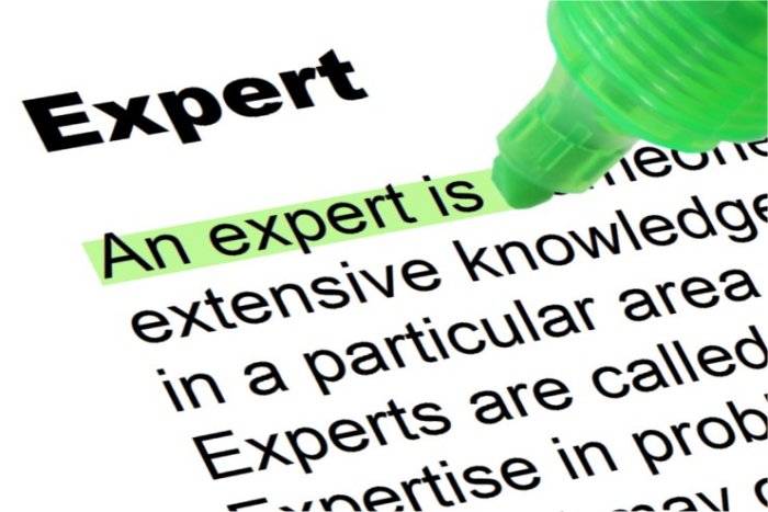 What Are Experts Good For?